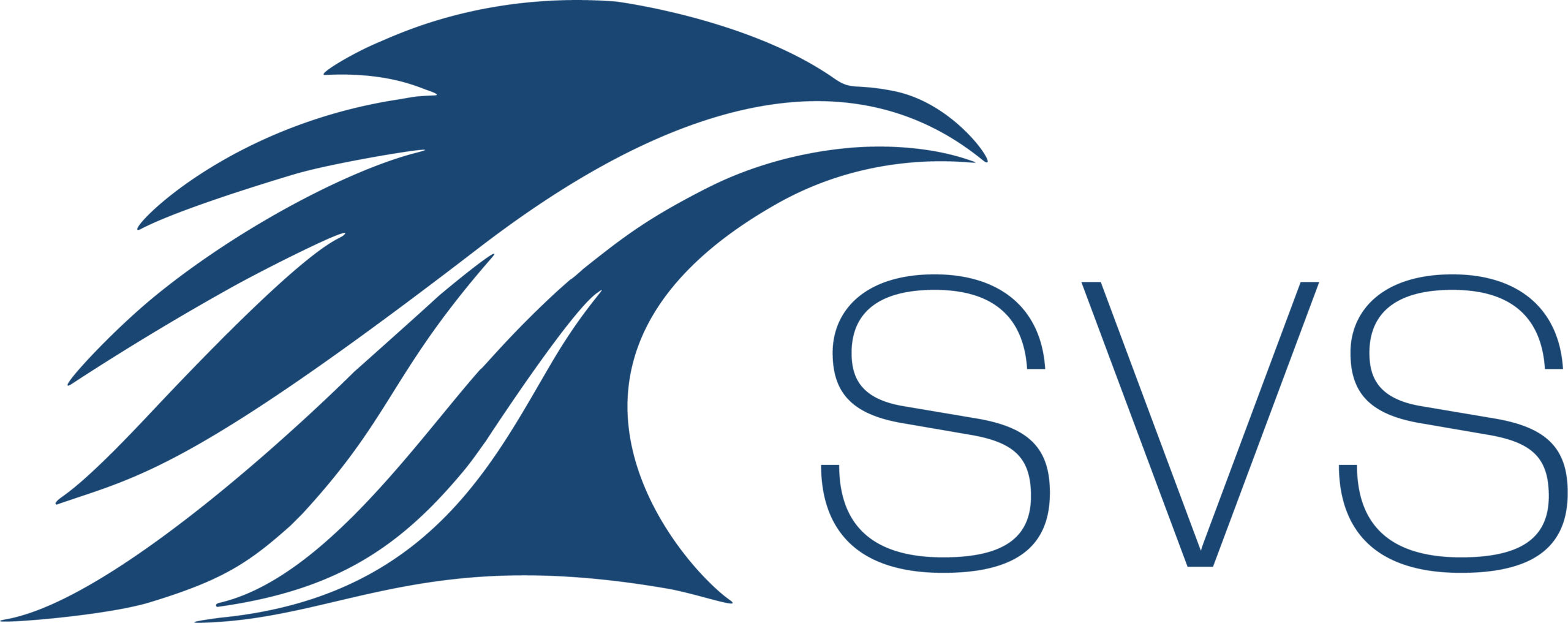 SVS Consultora